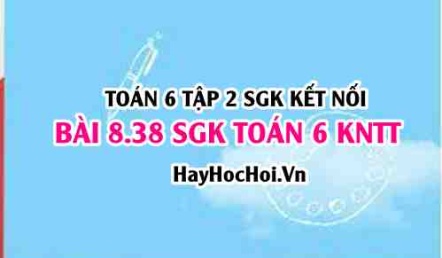 Bài 8.38 SGK Toán 6 tập 2 Kết nối tri thức